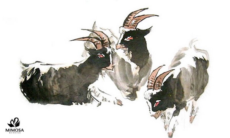 nam 2003 hợp với tuổi nào