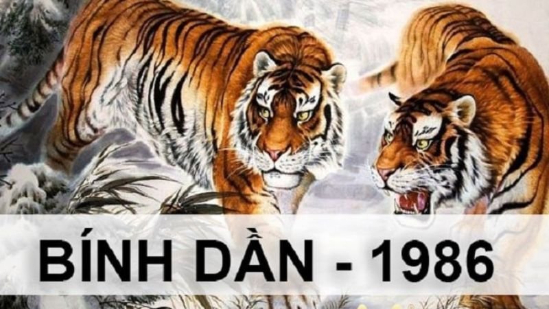 Cách tính tam tai tuổi Bính Dần sinh năm 1986