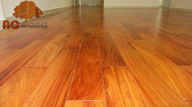 Gỗ Trắc Đỏ - một trong 7 loại gỗ quý nhất Việt Nam với vân gỗ tuyệt đẹp và màu sắc sang trọng