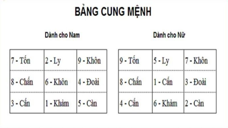 Phân biệt rõ ràng sinh mệnh và cung mệnh khi tìm hiểu cách xem mệnh tử vi