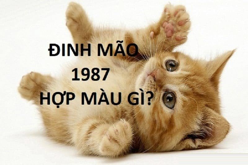 Màu sắc và con số may mắn cho tuổi Đinh Mão 1987