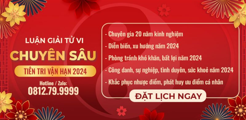La so tu vi tuoi Dinh Ty 1977