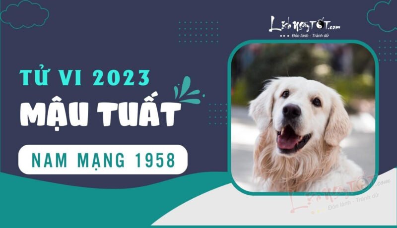 Chi tiết tử vi tuổi Mậu Tuất 1958 nam mạng năm 2023 - Vận hạn, cơ hội và hóa giải
