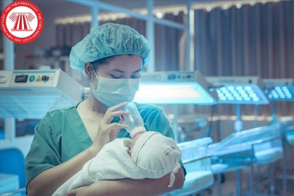 Năm 2026 Hợp Với Bố Mẹ Tuổi Gì: Giải Đáp Chi Tiết Phong Thủy