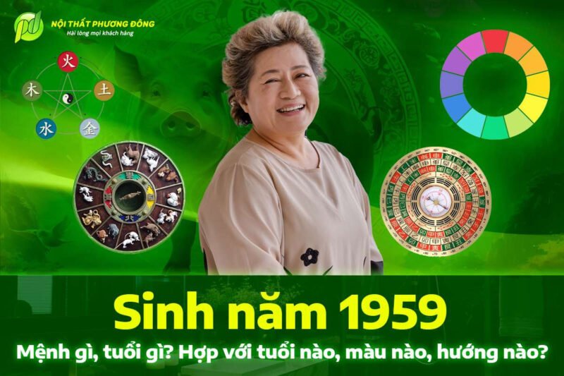 Người sinh năm 1959 mệnh gì, tuổi gì theo tử vi và phong thủy