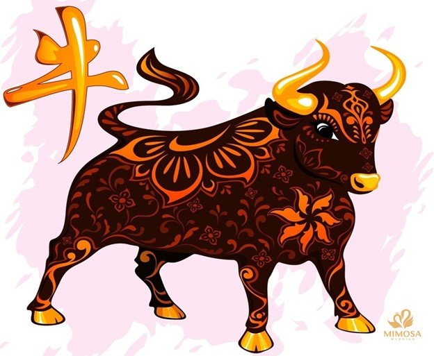 Tuổi Đinh Sửu 1997 cầm tinh con trâu Hồ Nội Chi Ngưu