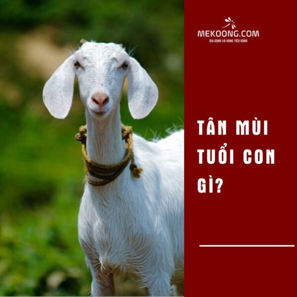 Tuổi Tân Mùi 1931 là con gì theo can chi địa chi