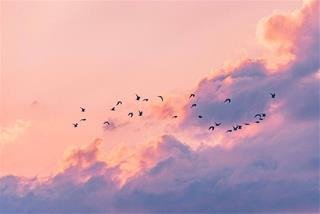 Tử vi tuần mới của 12 cung hoàng đạo