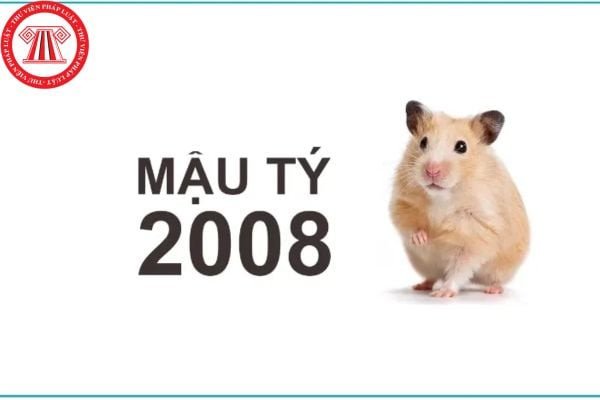 Xem tử vi tuổi Mậu Tý 2008 nữ mạng và vận mệnh theo phong thủy