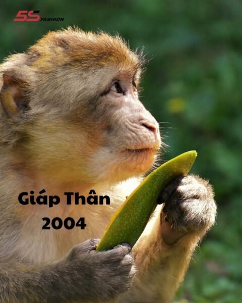 Con khỉ tượng trưng cho người tuổi Giáp Thân 2004