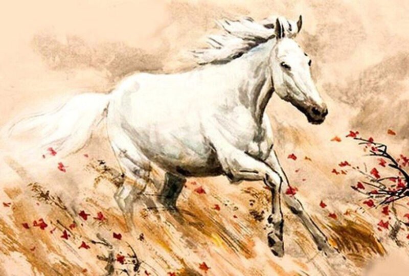 Ảnh minh họa người tuổi Ngọ với tinh thần tự do, khám phá thế giới