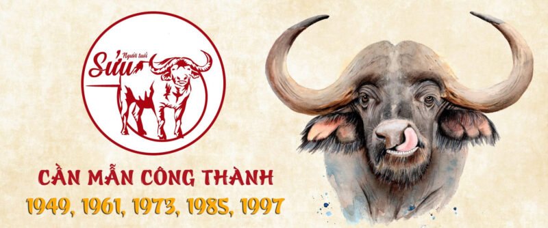 Người tuổi Sửu thường rất chân thực và trung thực