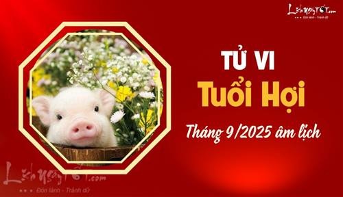 Luận giải tử vi tuổi Hợi ngày mai chủ nhật chi tiết
