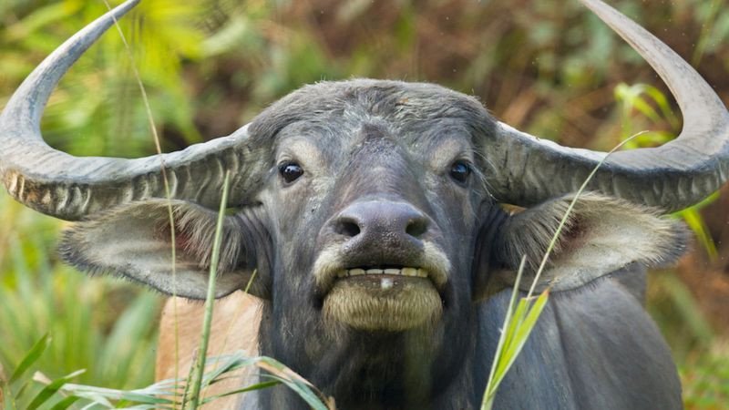 Ảnh minh họa hạn Tam Tai của người sinh năm 1997