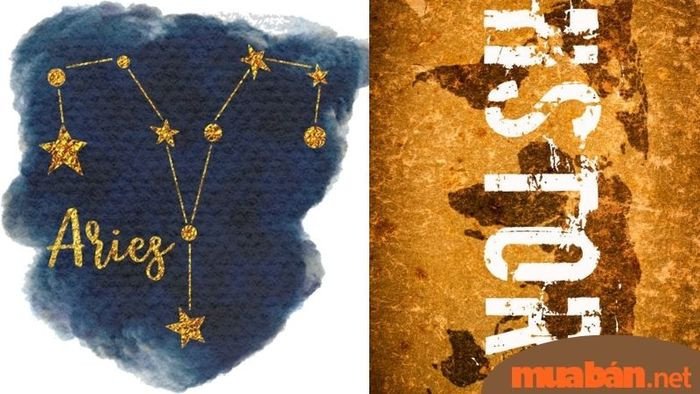 Giải Mã Nỗi Sợ Môn Học Của 12 Cung Hoàng Đạo