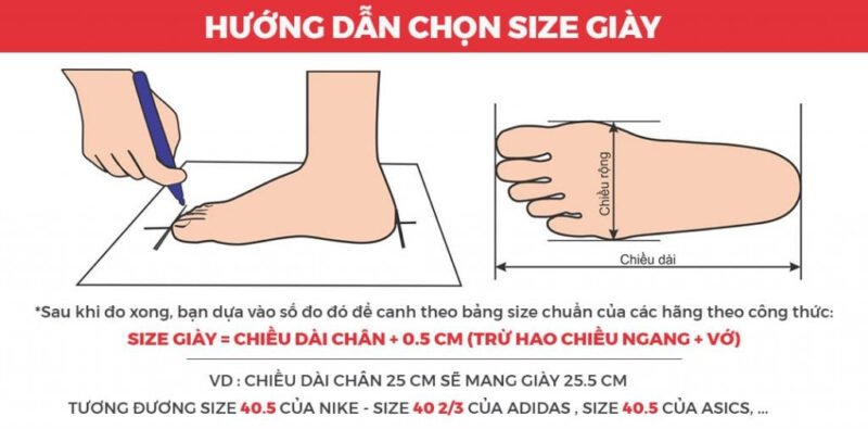 baby three 12 cung hoàng đạo giá