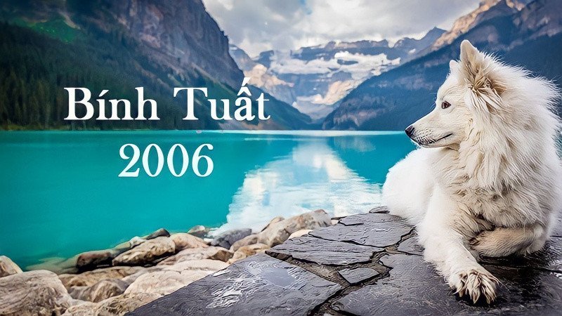 Bản đồ phong thủy nhà ở, xác định hướng tốt xấu cho gia chủ Bính Tuất 2006