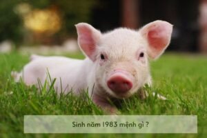 Bàn tay nâng hình ảnh mặt trăng trên biển, minh họa mệnh Đại Hải Thủy của tuổi Quý Hợi.
