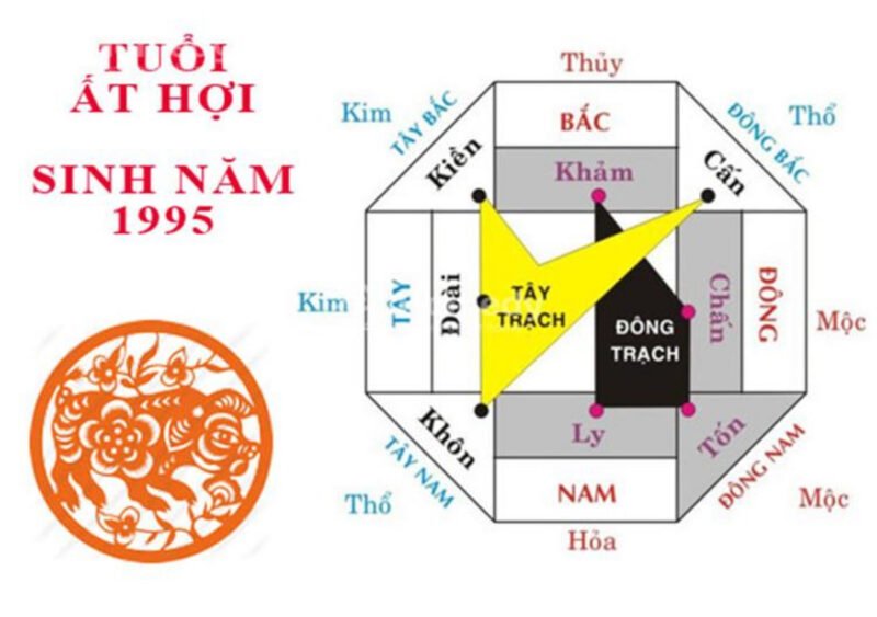 Bảng cung mệnh và ngũ hành chi tiết của người tuổi Ất Hợi 1995 giúp xác định hướng nhà hợp phong thủy