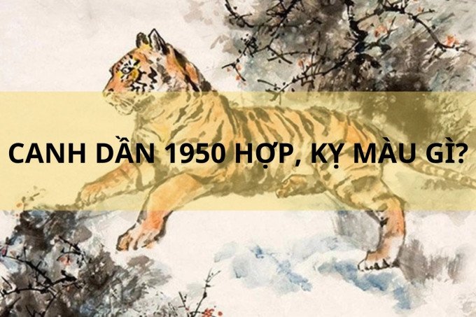 Bảng màu phong thủy tương sinh tương khắc với người sinh năm 1950 mệnh Mộc