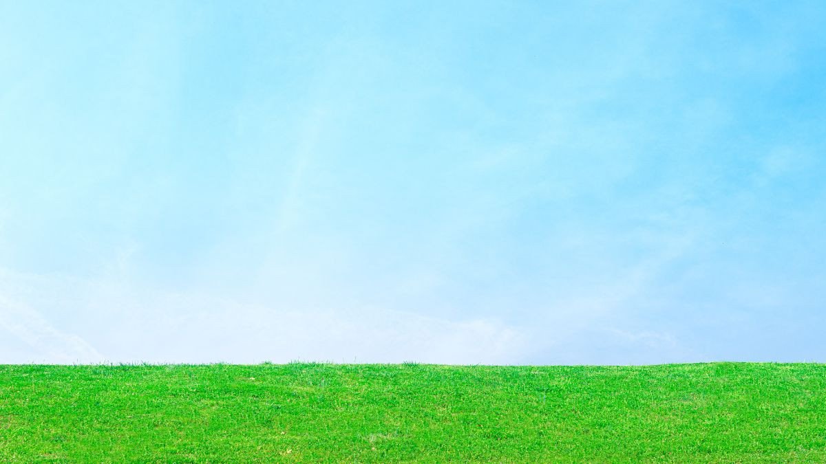 Bảng màu sắc hợp và kỵ với mệnh Thạch Lựu Mộc 1980