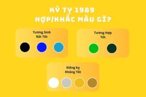Bảng màu sắc phong thủy hợp và kỵ với 1989 mệnh gì tuổi gì, tuổi Kỷ Tỵ.