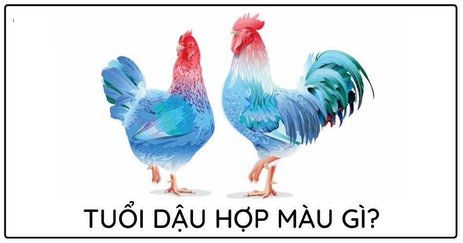 Bảng màu sắc phong thủy phù hợp với từng mệnh của người tuổi Dậu