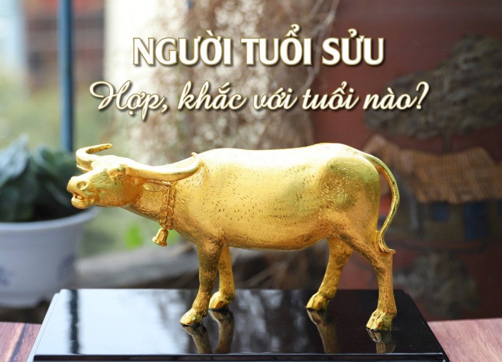 Bảng phân tích chi tiết tuổi trâu hợp tuổi gì trong làm ăn