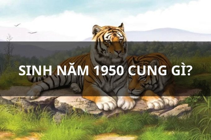 Bát quái đồ biểu thị cung mệnh của nam nữ sinh năm 1950