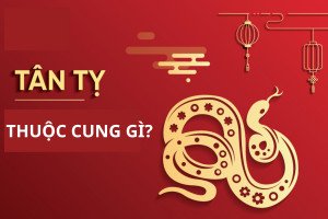 Biểu đồ bát quái thể hiện cung mệnh của người tuổi Tân Tỵ 2001