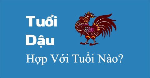 Biểu đồ các con giáp hợp và xung khắc với tuổi Dậu trong phong thủy