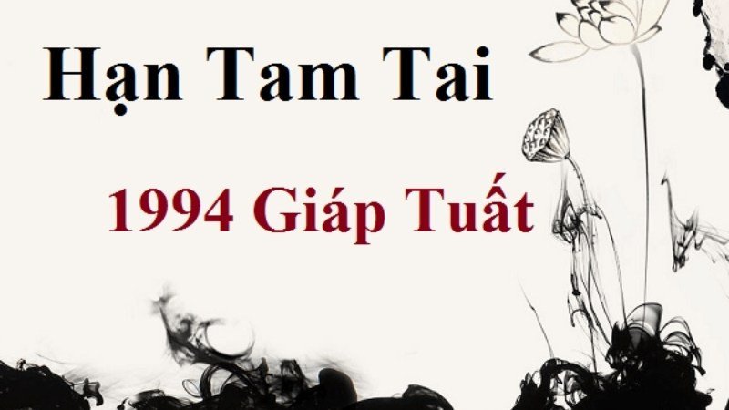 Biểu đồ các năm tam tai của người sinh năm 1994 tuổi Giáp Tuất
