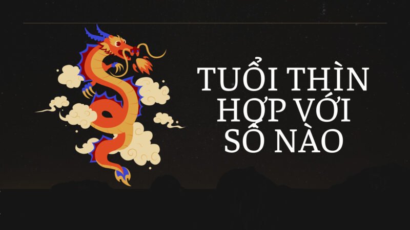 Biểu đồ giải thích cơ sở phong thủy xem tuổi Thìn hợp số mấy