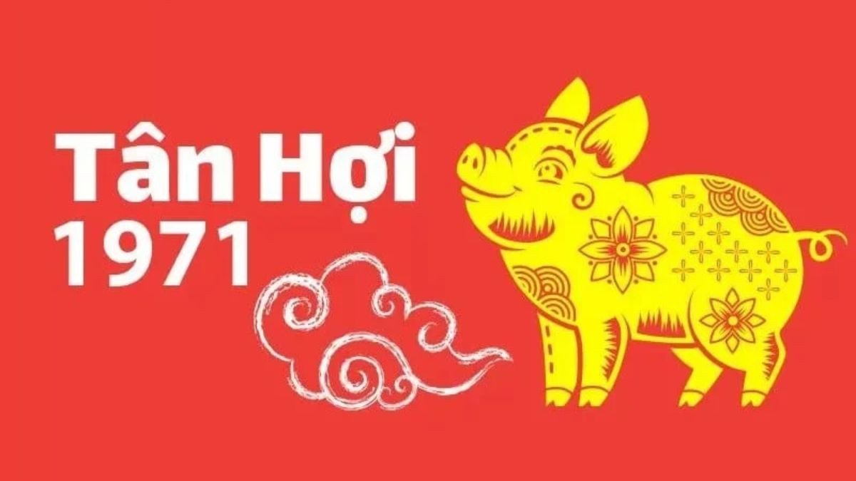 Biểu đồ miêu tả các nét tính cách đặc trưng của nam Tân Hợi 1971 mệnh Kim