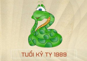 Biểu đồ minh họa các năm tam tai của người Kỷ Tỵ 1989 mệnh gì tuổi gì.