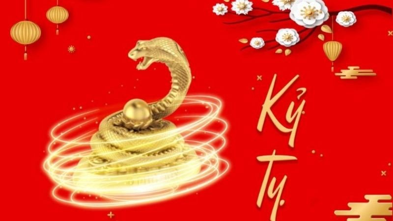 Biểu đồ phong thủy minh họa cung mệnh Tốn và Khôn của nam nữ Kỷ Tỵ 1989