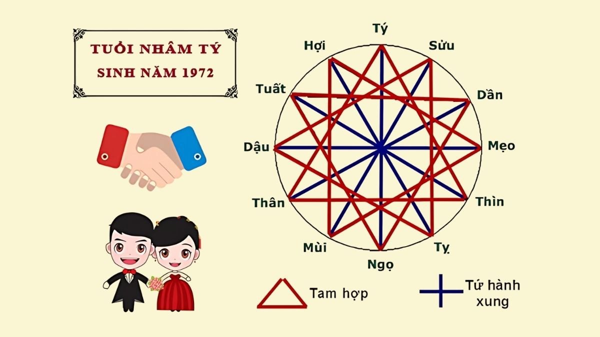 Biểu đồ tương hợp và tương khắc của tuổi Nhâm Tý 1972 với các con giáp khác