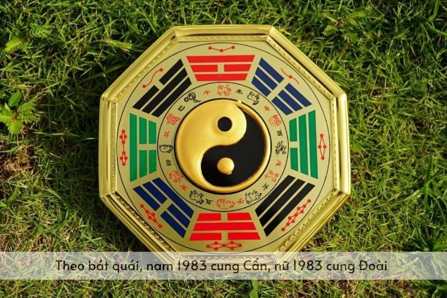 Biểu tượng bát quái, thể hiện cung mệnh Cấn cho nam và Đoài cho nữ tuổi Quý Hợi.