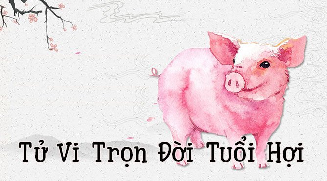 Biểu tượng linh vật heo trong tử vi trọn đời tuổi Hợi và ý nghĩa