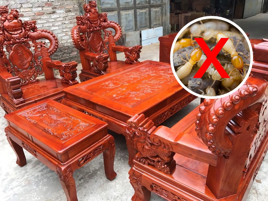 Bộ bàn ghế làm từ gỗ hương thể hiện độ bền và khả năng chống mối mọt