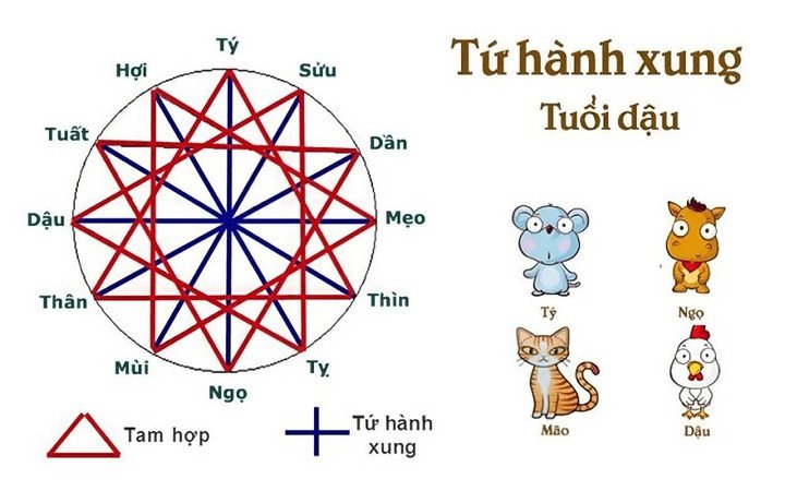 Bốn bàn tay đeo nhẫn hình con giáp Tỵ, Dậu, Sửu, Thân tượng trưng cho sự hòa hợp