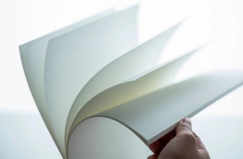 Bột giấy sản xuất từ gỗ Tràm, nguyên liệu cho ngành công nghiệp giấy