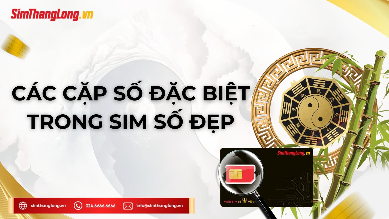 Các cặp số đặc biệt trong sim