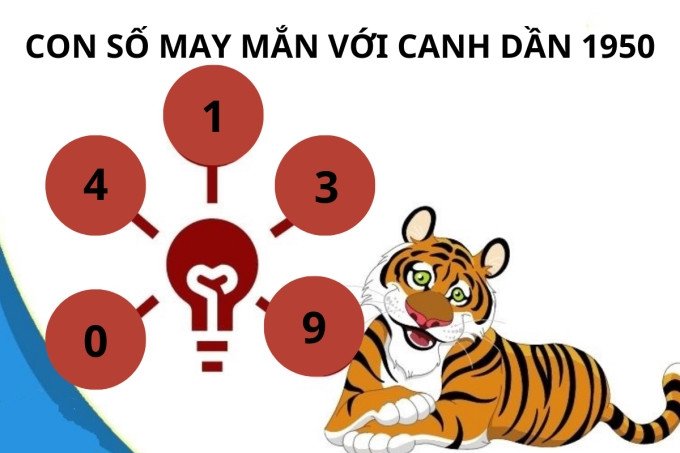 Các con số mang lại may mắn và tài lộc cho người sinh năm 1950 mệnh Mộc
