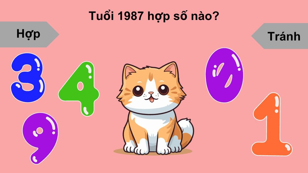 Các con số may mắn 3, 4, 9 được tô đậm, biểu trưng cho vận khí tốt của người sinh năm 1987