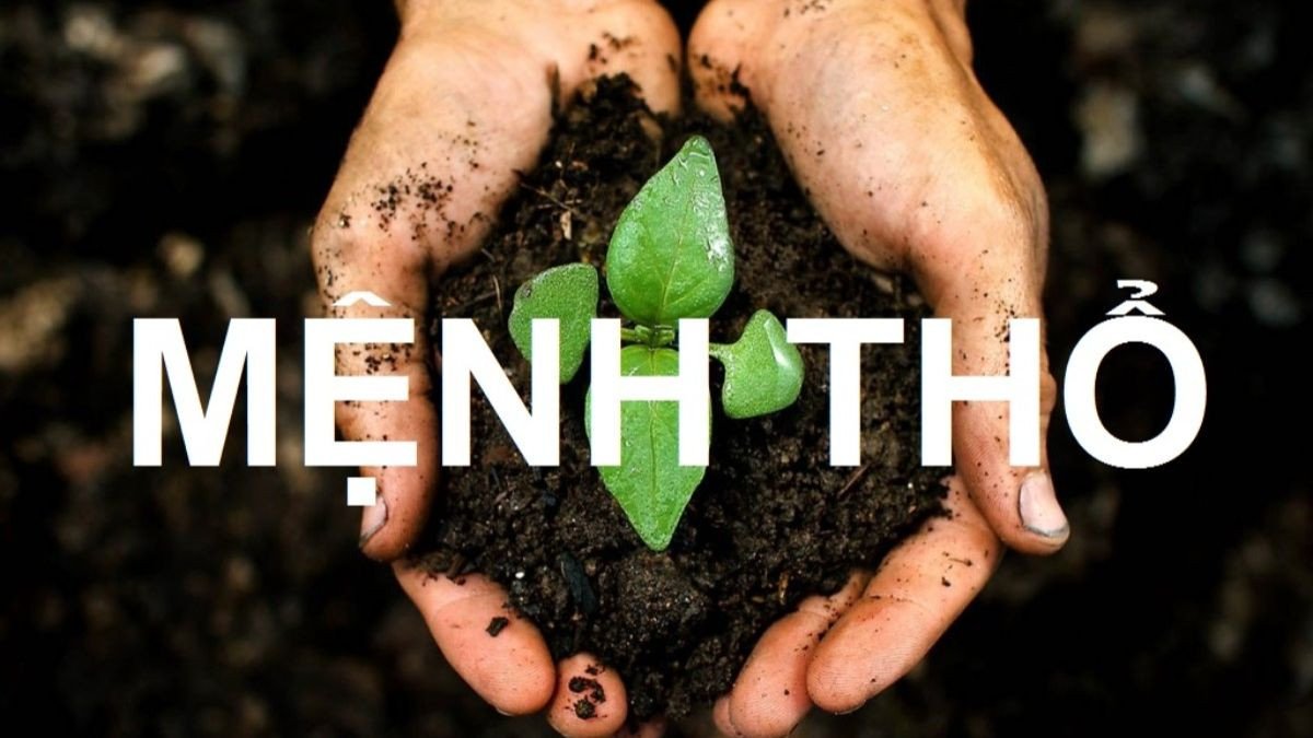 Các con số may mắn mang lại tài lộc cho người tuổi Bính Tuất 2006