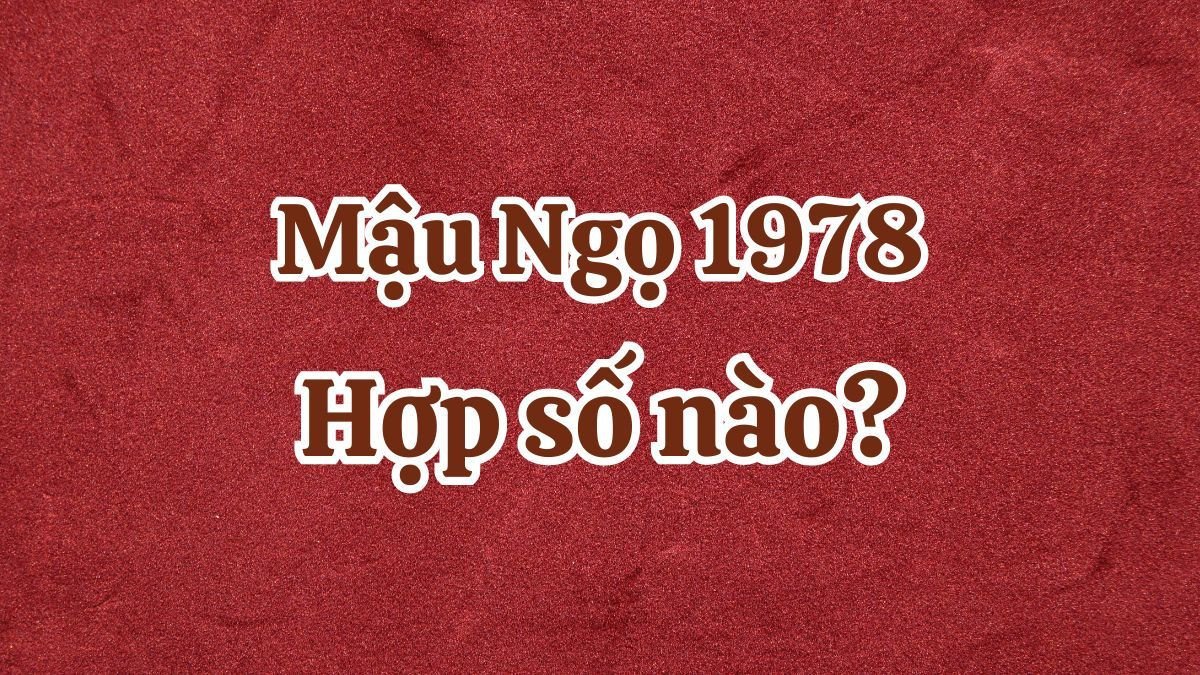 Các con số may mắn mang lại tài lộc và bình an cho người tuổi Mậu Ngọ 1978