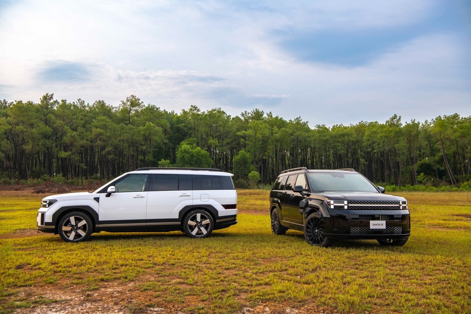 Các gam màu phù hợp khi tìm hiểu tuổi Nhâm Tuất 1982 hợp màu gì