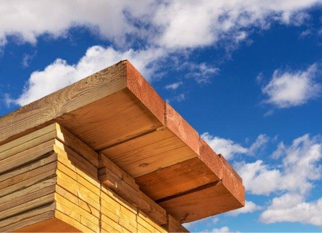 Hình ảnh các loại gỗ thuộc nhóm 4 phổ biến tại Việt Nam như gỗ thông, gỗ xoan, gỗ keo