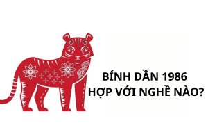Các nghề nghiệp lý tưởng cho Bính Dần 1986